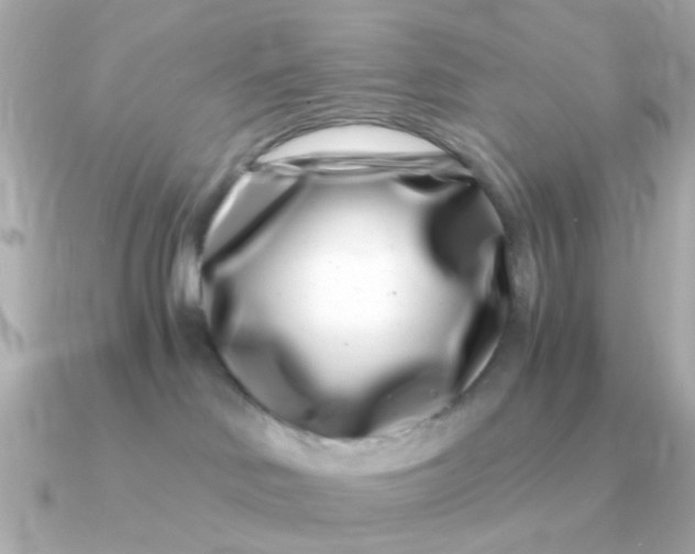 X0000090720046200708101602