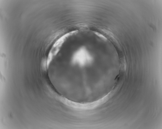 X0000090720047200708101602