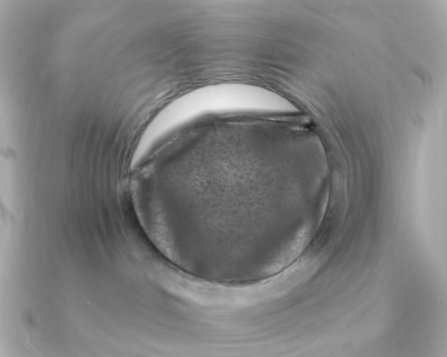 X0000090720048200708101602