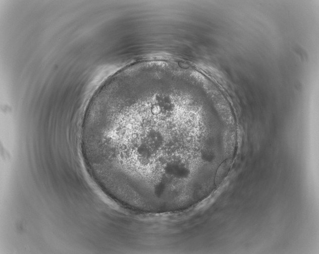 X0000090720049200708101601