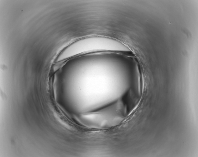 X0000090720050200708101601