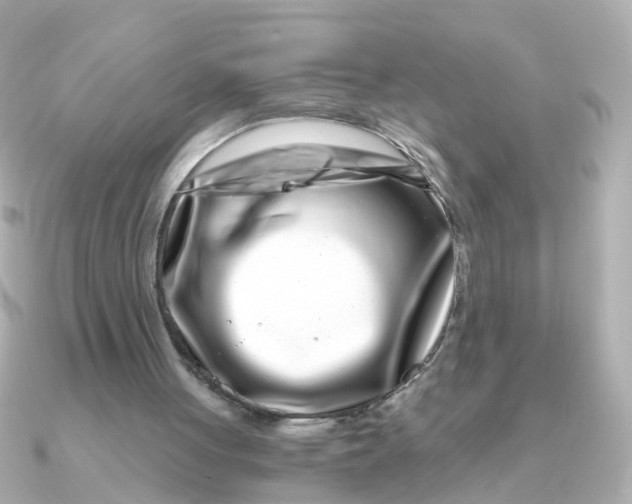 X0000090720051200708101601