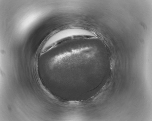 X0000090720052200708101601