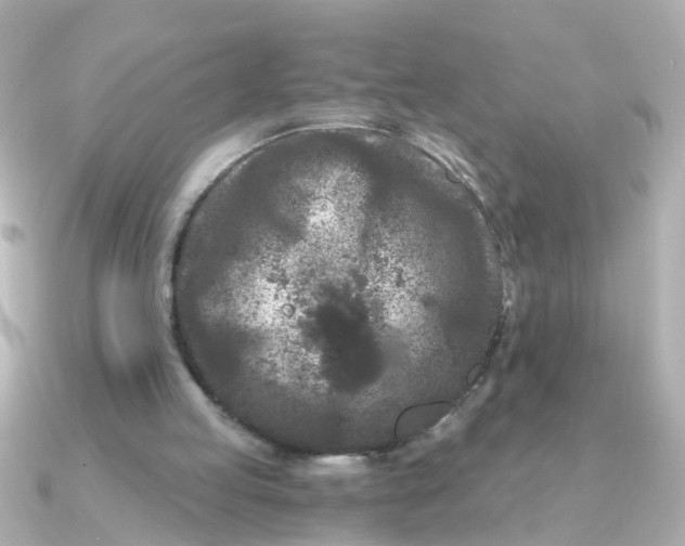 X0000090720053200708101601