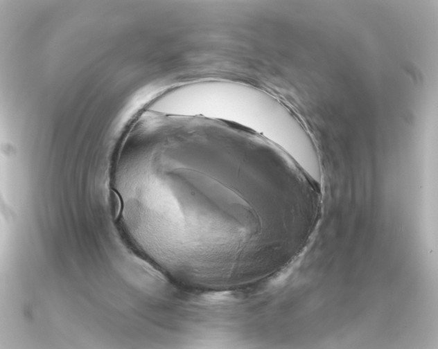 X0000090720054200708101601