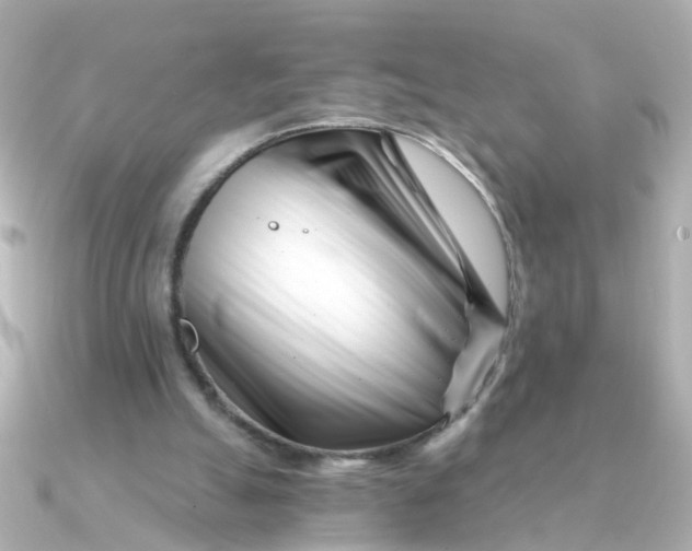 X0000090720055200708101601