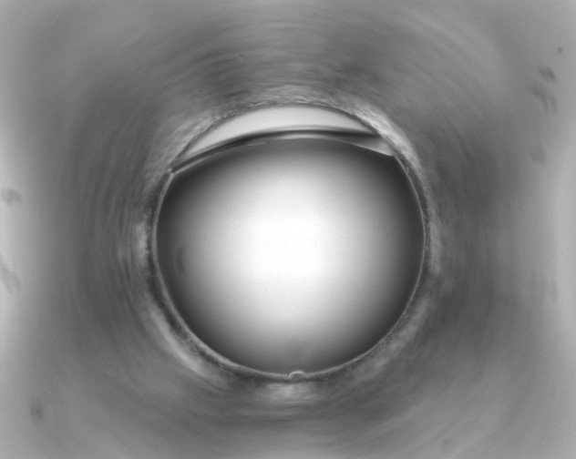 X0000090720057200708101601