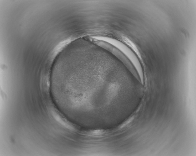 X0000090720059200708101601