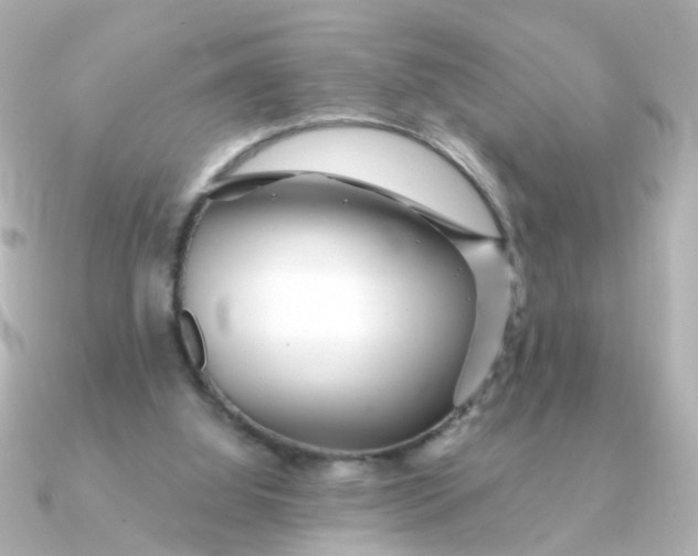 X0000090720060200708101601