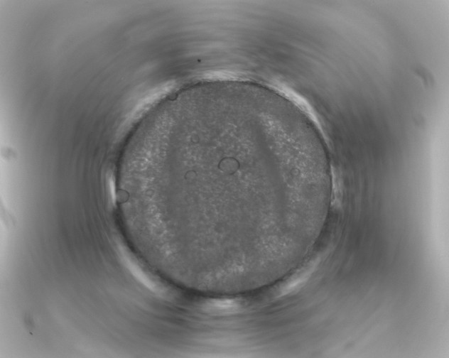 X0000090720061200708101601