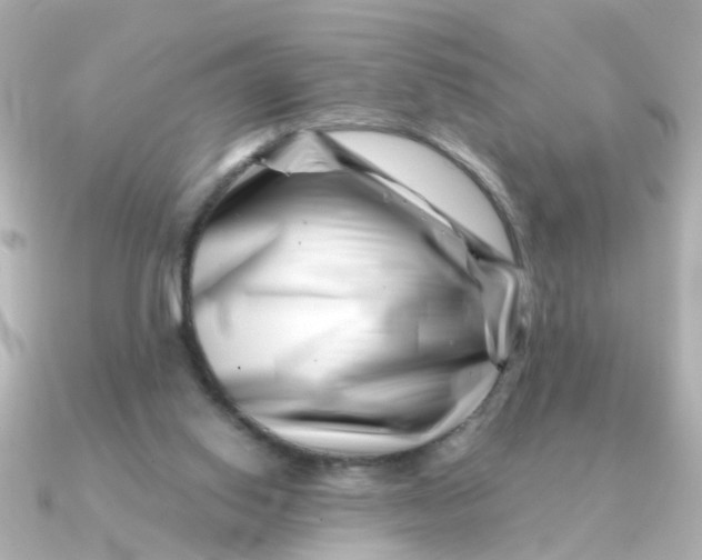 X0000090720062200708101601