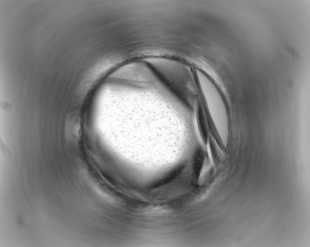 X0000090720063200708101601