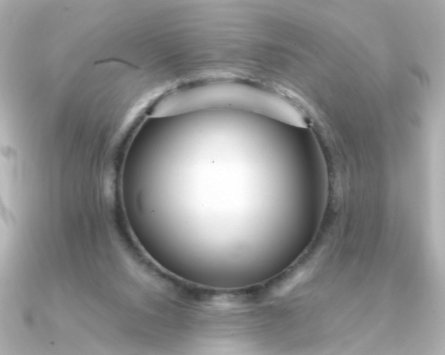 X0000090720064200708101601