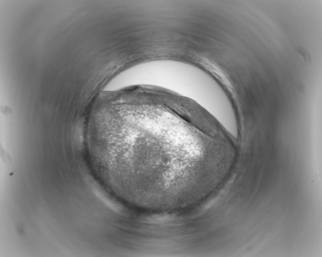 X0000090720065200708101601