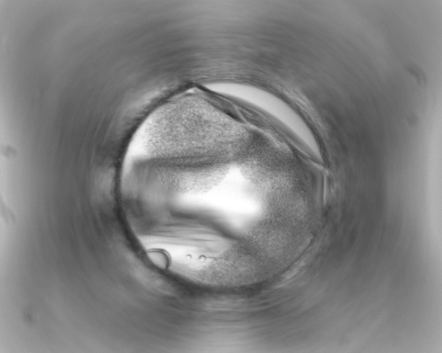 X0000090720066200708101601