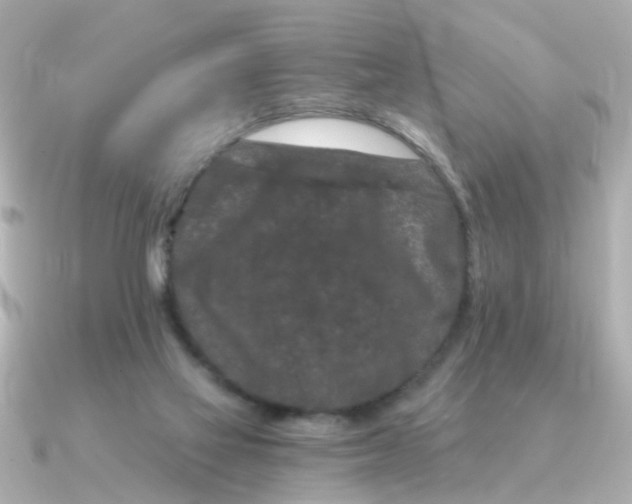 X0000090720069200708101601