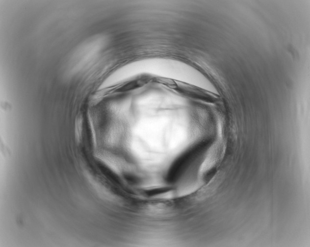 X0000090720070200708101601