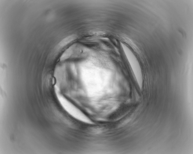 X0000090720071200708101601