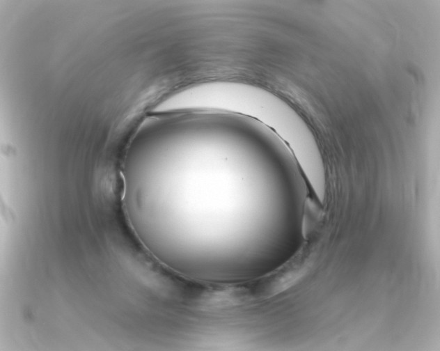 X0000090720072200708101601