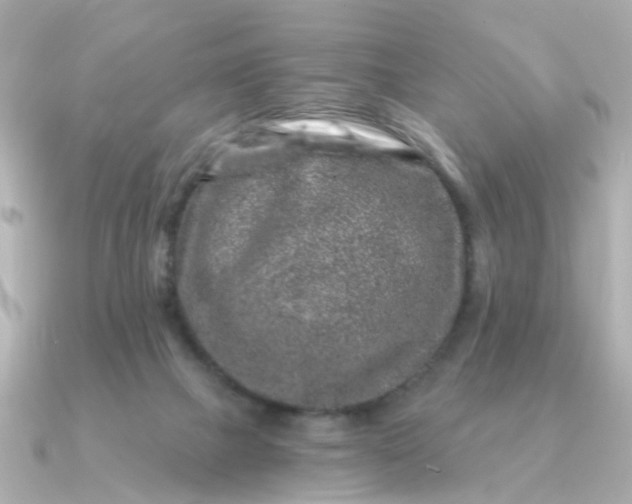 X0000090720073200708101601