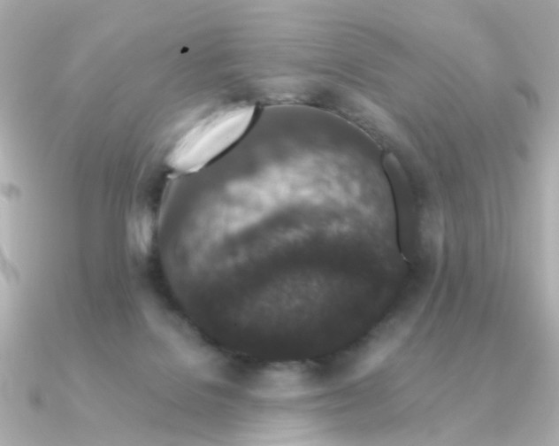 X0000090720076200708101602