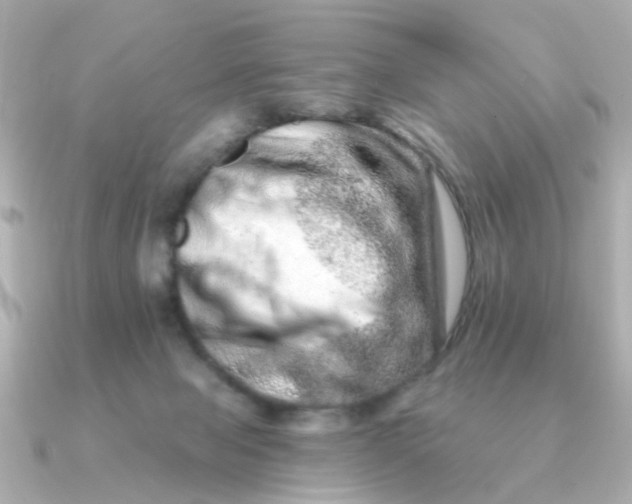 X0000090720077200708101602