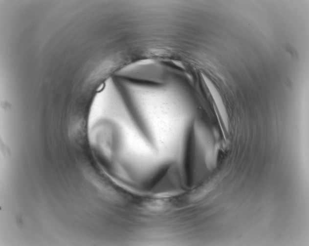 X0000090720079200708101602