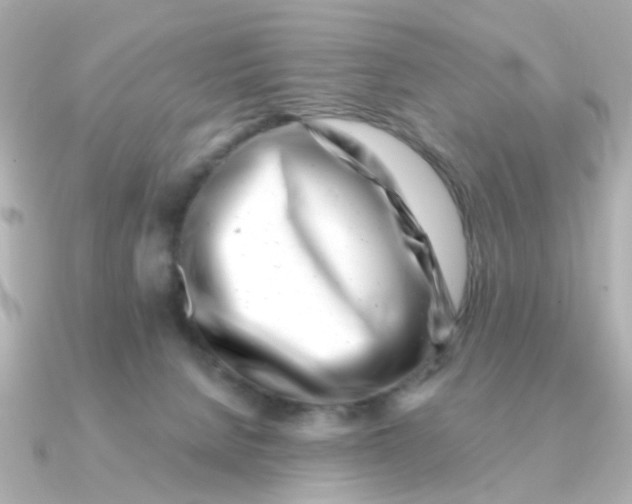 X0000090720080200708101602