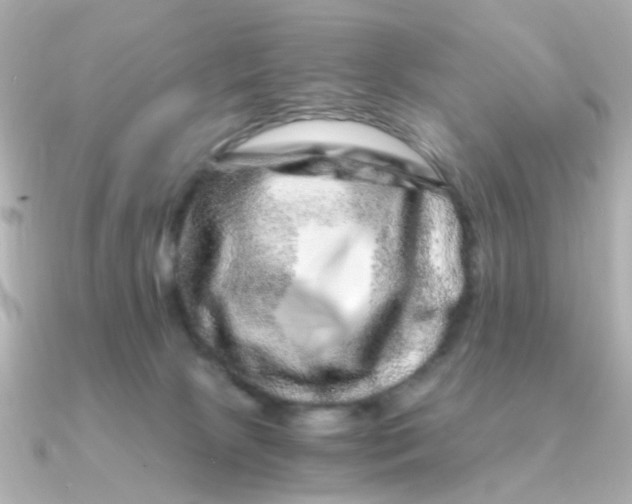 X0000090720081200708101602