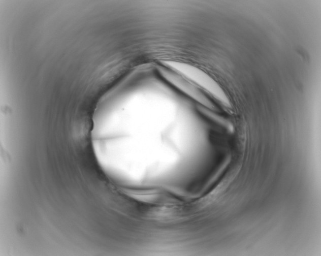 X0000090720082200708101602