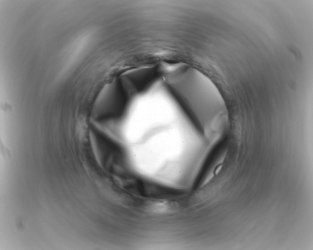 X0000090720083200708101602