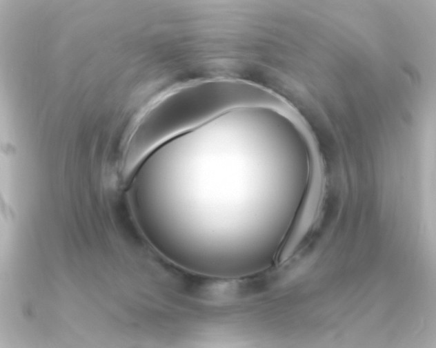 X0000090720084200708101602