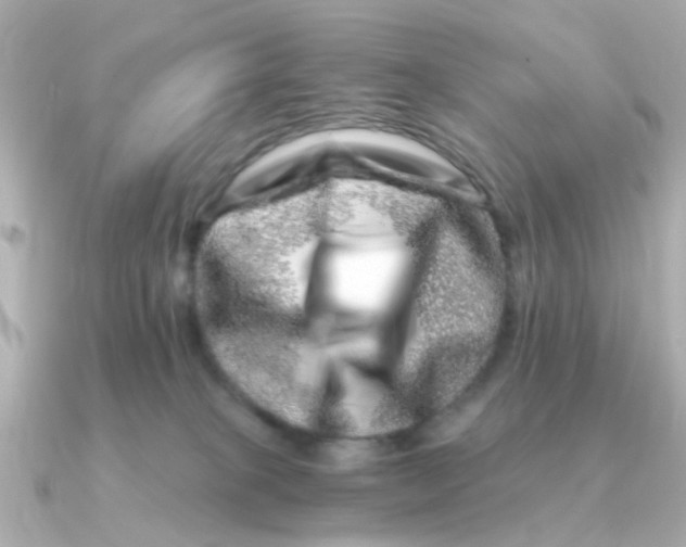 X0000090720085200708101602