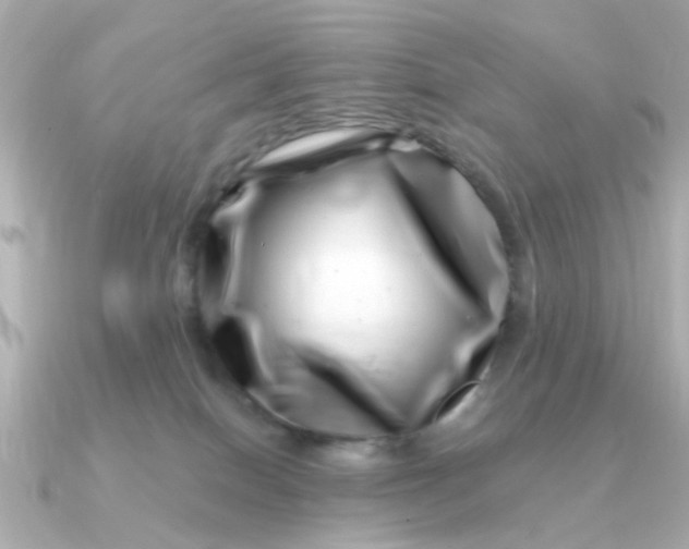 X0000090720086200708101602