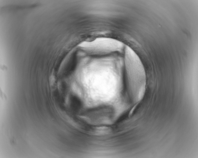 X0000090720087200708101602