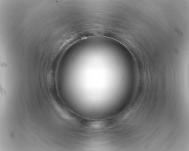 X0000090720088200708101602