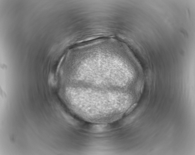 X0000090720089200708101602