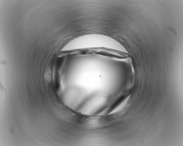 X0000090720090200708101602