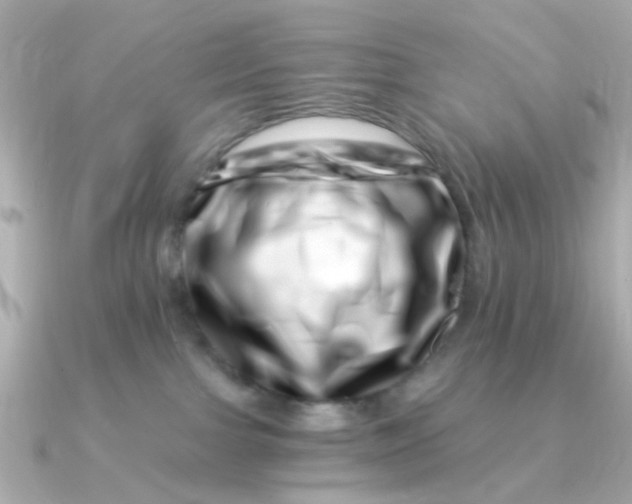 X0000090720091200708101602