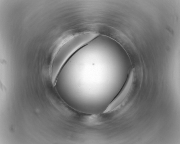 X0000090720092200708101602