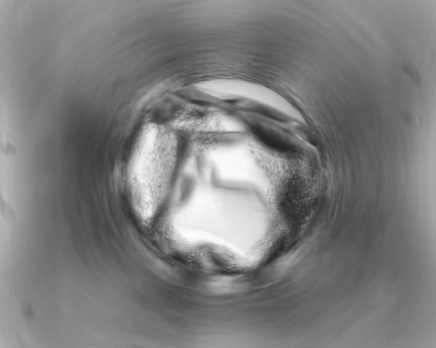 X0000090720093200708101602