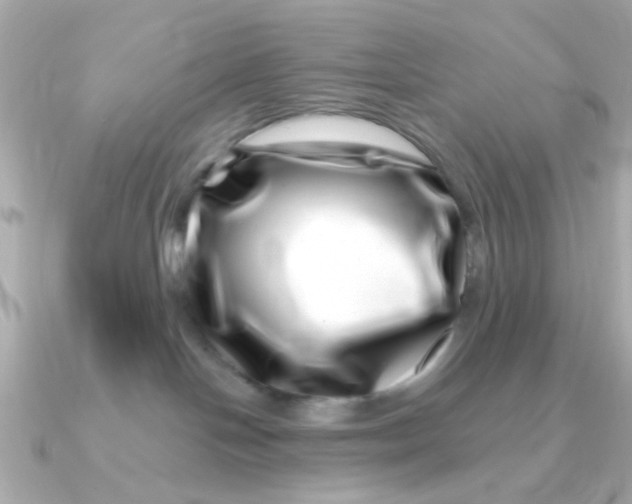 X0000090720094200708101602