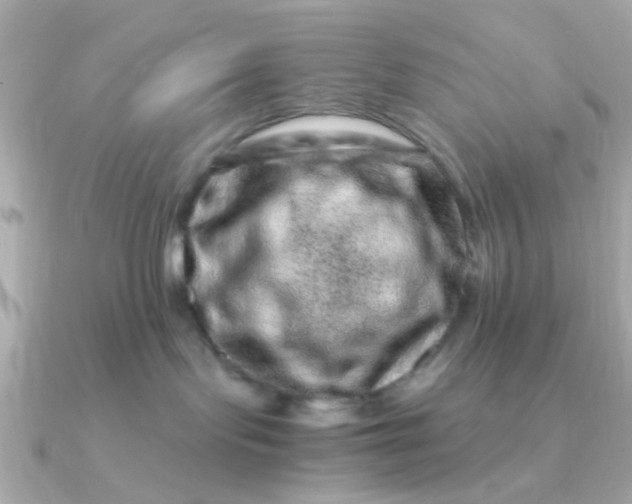 X0000090720095200708101602