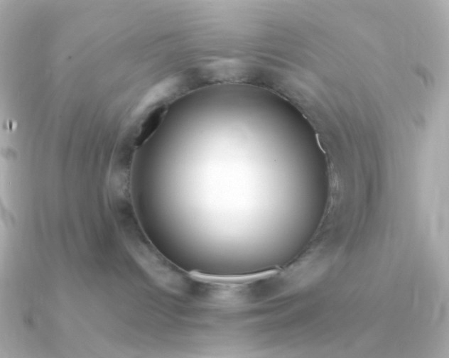 X0000090720096200708101602