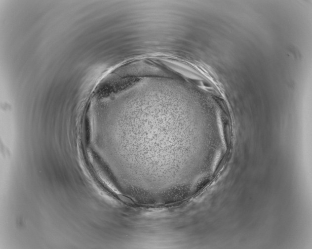 X0000090720097200708101601