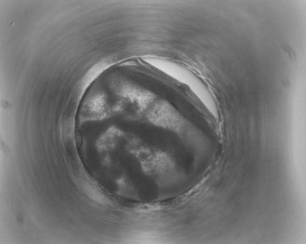 X0000090720099200708101601