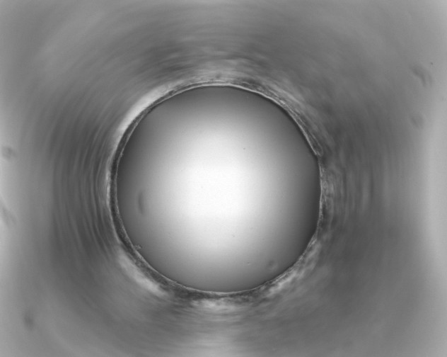 X0000090720100200708101601