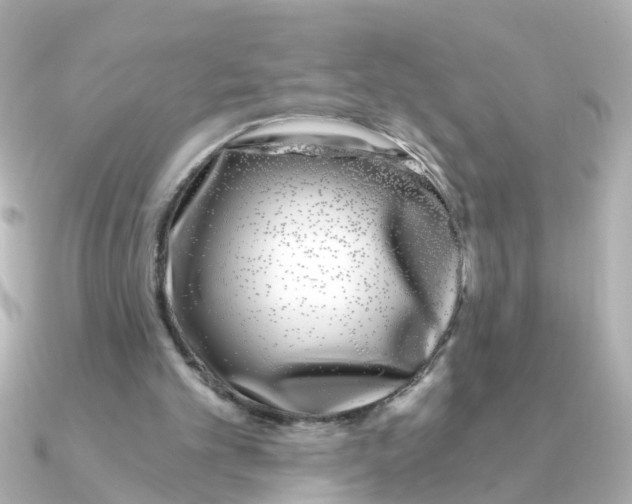 X0000090720101200708101601