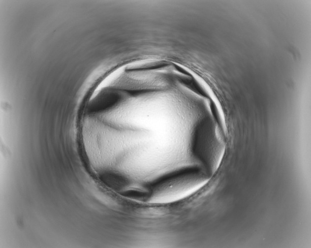 X0000090720102200708101601