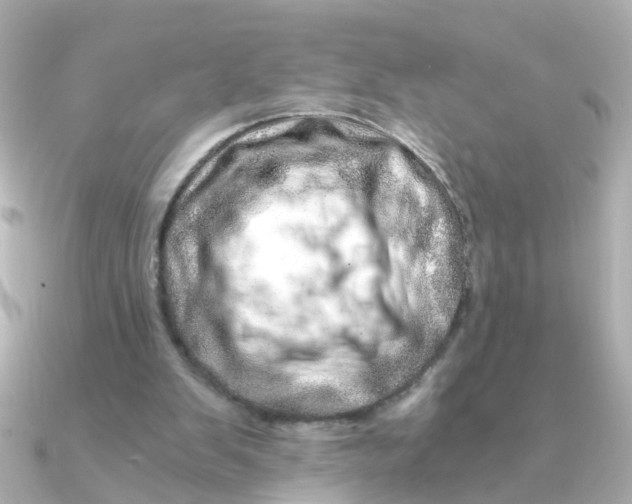 X0000090720103200708101601